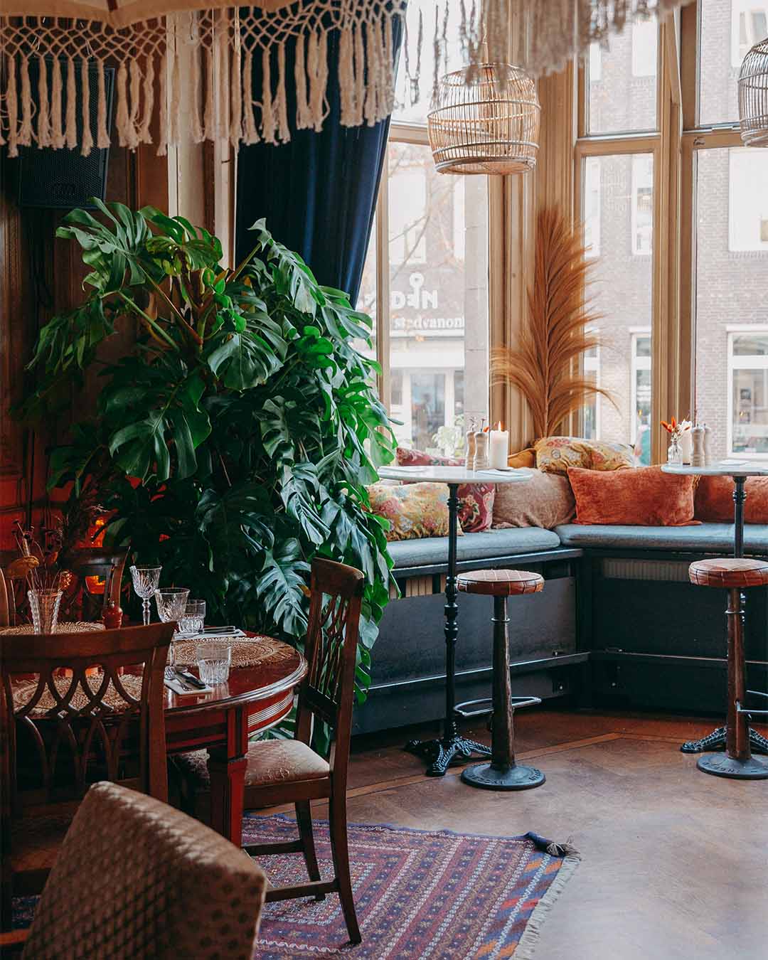 Hoge bartafels in de serre van Paco Ciao